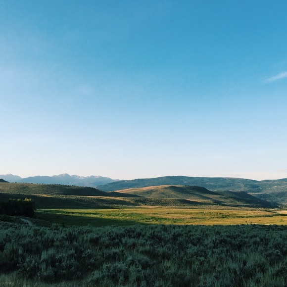 Meet your Posher, Hannah - Picture 1 of 1